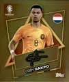 Produktbild: NED SP - Cody Gakpo - Star Player - Gold Signiture - 2024