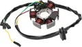 Produktbild: Stator für Ducati 6 Pol 60W Zündung Minarelli AM6 Derbi