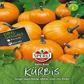 Produktbild: Kürbis Baby Bear - Sperli
