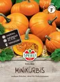 Produktbild: Sperli Minikürbissamen Baby Bear 81291 - Saatgut für den perfekten Minikürbis. Der Minikürbis kann Dank seiner Vielseitigkeit ideal zum Verzehr oder zum dekorieren genutzt werden.