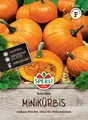 Produktbild: Minikürbis 'Baby Bear' - Cucurbita pepo, Kürbis, essbar & dekorativ, Samen 81291