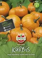 Produktbild: Kürbis Baby Bear