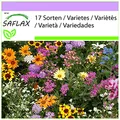 Produktbild: SAFLAX - Wildblumen: Golferträume - 1000 Samen - 17 Wildflower Mix