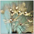 Produktbild: ARTLAND Wanddeko Glasbilder Wandbild Glas Bild einteilig Quadratisch Innere Ruhe Wellness Natur Pflanzen Blumen Pusteblume Regen Tau Tropfen Gold Sonnenaufgang S9LP