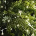 Produktbild: Kaemingk Lumineo LED-Lichterkette Basic mit Dimmer 40 LED warmweiß außen 3 m transparent