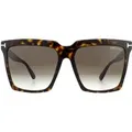 Produktbild: Tom Ford Sonnenbrille Sabrina 02 FT0764 52K Dunkle Havanna Roviex Braun Gradient