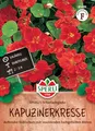 Produktbild: SPERLI Kapuzinerkressesamen SPERLI's Scharlachglanz - Einjährige Blumensamen mit Halbgefüllten Roten Blüten, Wuchshöhe 30-40cm, Einfache Anzucht