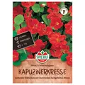 Produktbild: Sperli Saatgut Kapuzinerkresse Scharlachglanz