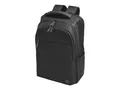 Produktbild: HP Professional - Notebook-Rucksack - 43.9 cm (17.3