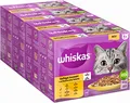 Produktbild: Whiskas 1 + Katzenfutter Geflügel Auswahl in Gelee, 12x85g (4 Packungen) – Hochwertiges Nassfutter für ausgewachsene Katzen in 48 Portionsbeuteln