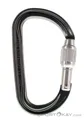 Produktbild: Petzl Am'D Screw-Lock Karabiner-Grau-One Size