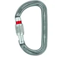 Produktbild: Petzl Am'D Screw-Lock Karabiner - STK - gray