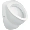 Produktbild: Urinal FULL 390 x 560 x 400 mm, Zulauf von hinten, Keramik, weiß - 93 709 99