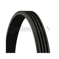 Produktbild: Keilrippenriemen CONTINENTAL CTAM 4PK950 für FIAT HONDA MAZDA MITSUBISHI SKODA
