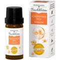 Produktbild: Murnauers Bachblüten Konzentrier Dich Globulini 10 g