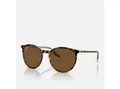 Produktbild: Ray-Ban Sonnenbrille Ray-Ban RB2204 139357 Havana Polar Brown 54 mm