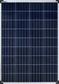 Produktbild: enjoy solar® Solarpanel polykristallines Solarmodul 100W 12V, 158,75 mm Perc-Zellen, 0% MwSt.