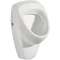 Produktbild: Urinal Geberit Renova 360 x 610 x 370 mm, Zulauf von hinten, Abgang nach hinten, weiß - 235300000