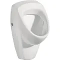 Produktbild: Urinal Geberit Renova weiß, Zulauf von hinten,Abgang nach hinten,BxHxT: 360x610x370mm