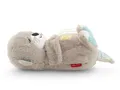 Produktbild: Fisher-Price Kuscheltier »Schlummer-Otter«