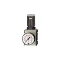 Produktbild: Riegler Druckregler »FUTURA« inkl. Manometer BG 1 G 1/4 0,1 - 2 bar