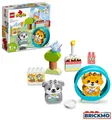 Produktbild: LEGO Duplo 10977 Mein erstes Hündchen & Kätzchen Mit Town 10977