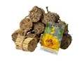 Produktbild: dobar green label Schilfrohrhalme-Set plus Samenmischung 