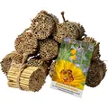 Produktbild: dobar® 22690e Schilfrohrhalme-Set 1.000 STK - Insektenhotel Bastelset - Schilfrohhalme für Wildbienenhotels - Wildbienennisthilfe aus Schilfhalmen inkl. Wildblumensamen - 9cm