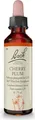 Produktbild: BACHBLÜTEN Cherry Plum Tropfen 20 ml