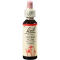 Produktbild: BACHBLÜTEN Cherry Plum Tropfen 20 ml