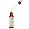 Produktbild: BACHBLÜTEN Cherry Plum Tropfen 20 ml PZN00046663