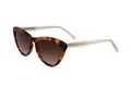 Produktbild: Ted Baker TB1690 100 TORT 53/18/140 Damen Sonnenbrillen