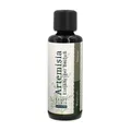 Produktbild: Waldkraft Artemisia - Einjähriger Beifuß ALKOHOLFREI 100 ml Immunsystem
