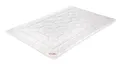 Produktbild: Paradies Fill Comfort Steppbett Anela Bio 135x200cm