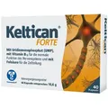 Produktbild: KELTICAN forte Kapseln 40 St