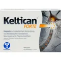Produktbild: Keltican forte Kapseln, 40 St. Kapseln 1712263