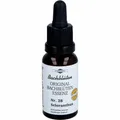 Produktbild: BACHBLÜTEN Murnauer Scleranthus Tropfen 20 ml PZN07752364