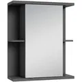 Produktbild: Mid.you Spiegelschrank Nebraska, Anthrazit, Metall, 2 Fächer, 60x70x25 cm, FSC Mix, Typenauswahl, individuell planbar, Badezimmer, Badezimmerspiegel, Spiegelschränke