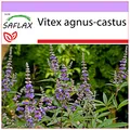 Produktbild: SAFLAX - Heilpflanzen - Mönchspfeffer - 30 Samen - Vitex agnus-castus