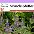 Produktbild: Mönchspfeffer Samen Vitex agnus castus Heilpflanze Hexengarten Pflanzenapotheke