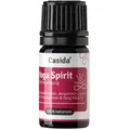 Produktbild: YOGA Spirit Duftmischung ätherisches Öl 5 ml