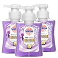 Produktbild: Sagrotan Samt-Schaum Seife Vanille & Orchidee, Antibakterielle Schaumseife – 3 x 250 ml Seifenspender im praktischen Vorteilspack
