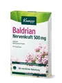 Produktbild: Baldrian Nervenkraft 500 mg - Traditionelles pflanzliches Arzneimittel bei ne...