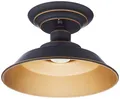 Produktbild: 63701 Einflammige Leuchte Iron Hill, 22 cm, zur Deckenmontage von Westinghouse Lighting für Innenbereiche, Ausführung in geölter Bronze mit Akzenten