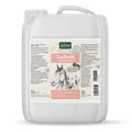 Produktbild: AniForte Lachsöl 5 L | Hunde | Katzen | Pferden | Fell- und Hautpflege