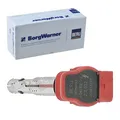 Produktbild: BORGWARNER (BERU) ZÜNDSPULE ZÜNDMODUL passend für AUDI A4 A5 A6 A7 A8 Q5 Q7 R8