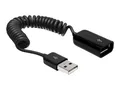 Produktbild: Delock USB-Verlängerungskabel - USB (M) zu USB (W)
