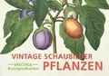 Produktbild: Postkarten-Set Vintage-Schaubilder Pflanzen: 18 Kunstpostkarten aus hochwertigem Karton. ca. 0,28€ pro Karte (Anaconda Postkarten, Band 88)
