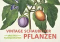 Produktbild: Postkarten-Set Vintage-Schaubilder Pflanzen Anaconda Verlag