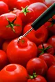 Produktbild: Triangle Tomaten-Entstieler 10 004 25 00